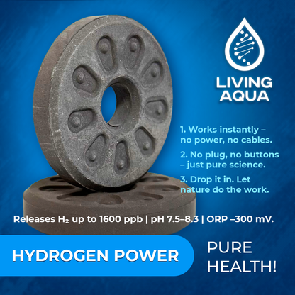 Hydrogen Enrichment Disk - Pack of 5